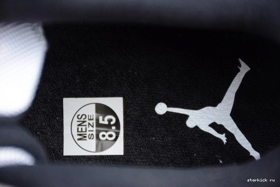 528895-153 11 Low  528895-153 Jordan Concord Retro 0729